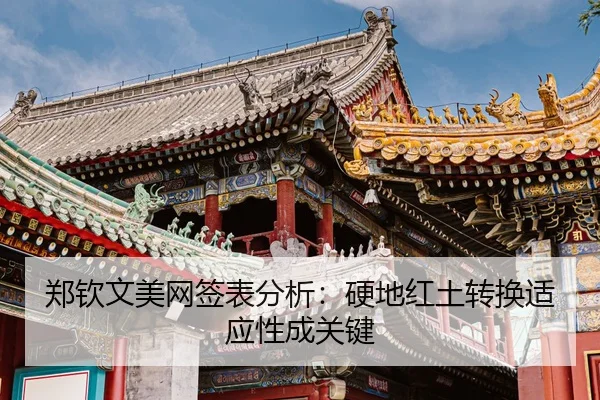 zheng-qin-wen-mei-wang-qian-biao-fen-xi-ying-di-hong-tu-zhuan-huan-shi-ying-xing-cheng-guan-jian-3-889.jpg