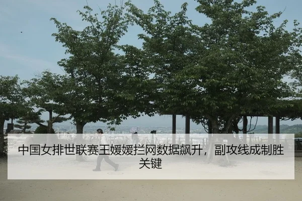 中国女排世联赛王媛媛拦网数据飙升，副攻线成制胜关键