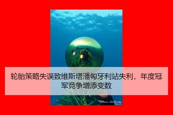 lun-tai-ce-lve-shi-wu-zhi-wei-si-ta-pan-xiong-ya-li-zhan-shi-li-nian-du-guan-jun-jing-zheng-zeng-tian-bian-shu-3-902.jpg