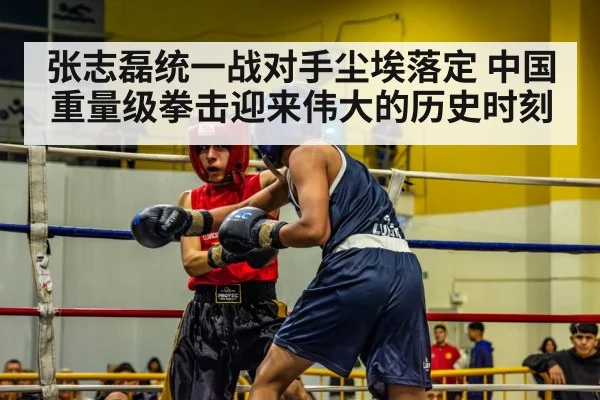 boxer in action