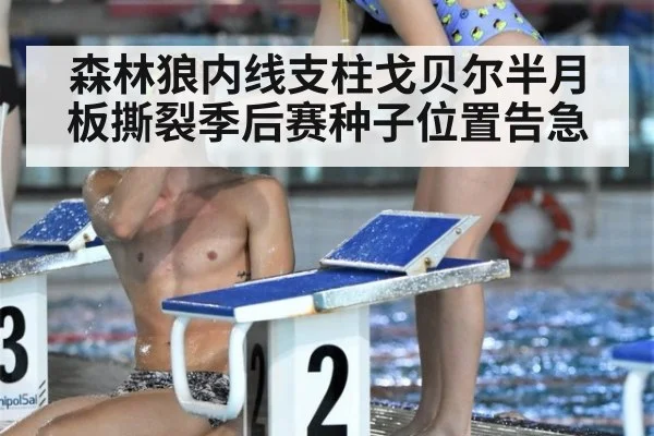 森林狼内线支柱戈贝尔半月板撕裂季后赛种子位置告急